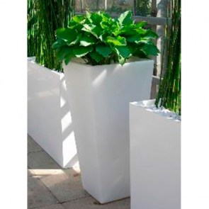 Hosta-in-Slide-Vase.jpg